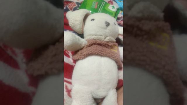 Теперь понятно как выглядит Мой заяц под этим эффект ( эффект называется скелет) смотреть онлайн