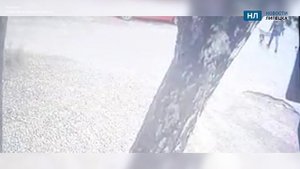 Рецидивист из Чаплыгина Липецкой области засветился на камеры видеонаблюдения