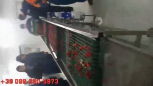 Как калибровать ягоду по размеру. Прутковый калибратор для клубники