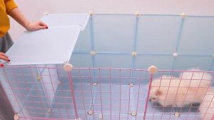 DIY Cute House For Pomeranian Poodle Puppies & Kitten | How To Make House For Dogs Cats | MR PET #2