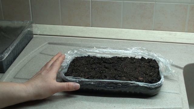 Уход за всходами петуний. смотреть онлайн