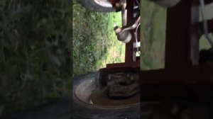 Мини трактор из мотоблока Хопер