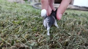 фигурки собак которые мне подарили на день рождение