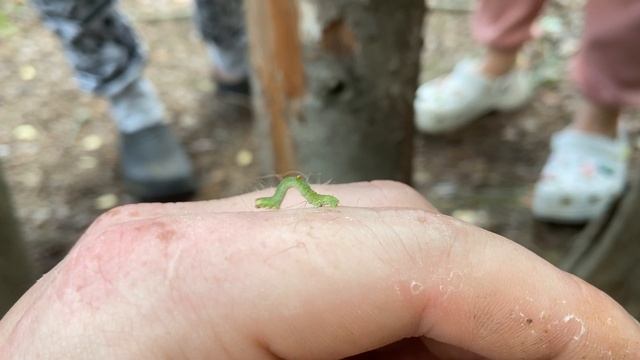 ОЗЕРО ВОЛГО. ВМЕСТО РЫБЫ ПОЙМАЛИ КАЙФ. смотреть онлайн