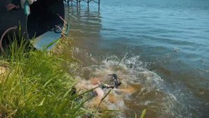 Зарыбление стерлядью