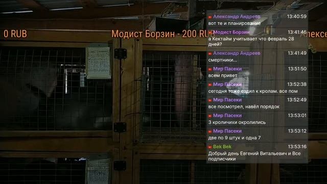 14 марта Крольчатник. Окрол без маточника. Результат. Прямой эфир-2