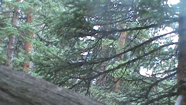 elk hunt 9-9-2013 смотреть онлайн