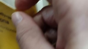 ?РОЗЫ из ЛЕРУА МЕРЛЕН, рекомендую проверенные сорта.