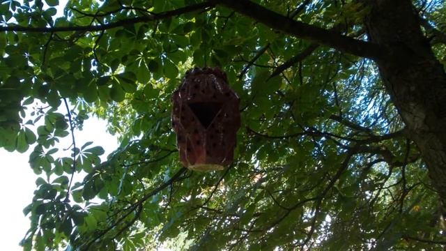 Скворечники и кормушки смотреть онлайн