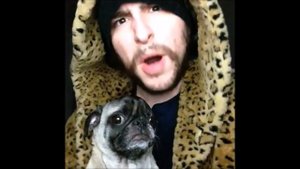 Приколы! Подборка Смешнот с Мопсами. 5 минут хорошего настроения! 2015 Funny Pugs Compilation 5 min