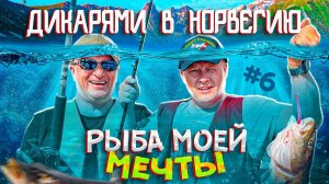 Рыбалка в Норвегии | Лофотенские острова | ДИКАРЯМИ В НОРВЕГИЮ #6