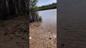 ПЕРВАЯ РЫБАЛКА ХАБАРОВСК РЕКА СИТА