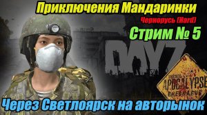 DayZ Apocalypse.Стрим №5. Через Светлоярск на авторынок. Приключения Мандаринки.  #bulldezeer