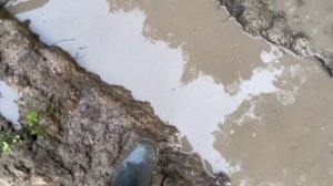 Застрял на квадроцикле в калие.Квадрик + Питбайк