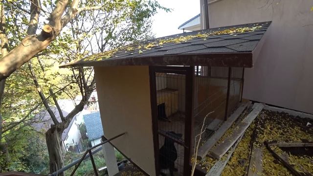 Продается ДОМ в Сочи(Светлана) 13 соток ,430 м2. Фруктовый Сад!!
