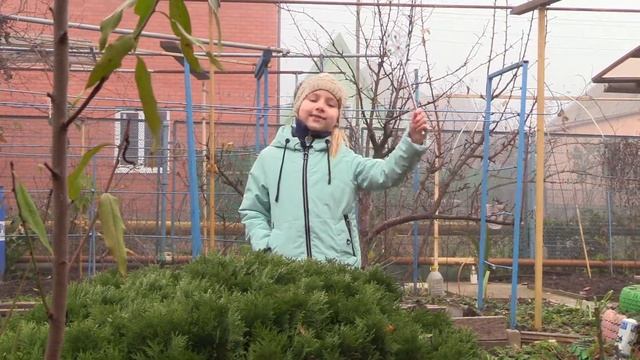 2018 11 25 Катюша лети лети лепесток смотреть онлайн