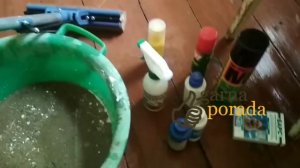 Как избавиться от ковровых блох в доме, в квартире