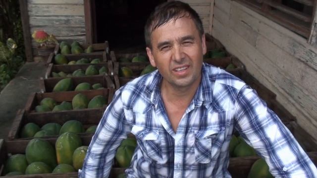 Yuma in Cuba. (rus). 2. Строительство дома на Кубе. Папая. Урожай.
