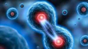 Биология 5-6 (Пасечник) аудио параграф 9 «Жизнедеятельность клетки