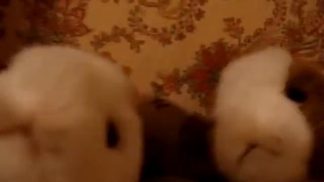 Мои мягкие игрушки