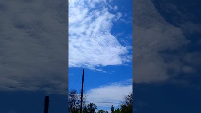 #Рыба-Облако!