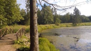 Велопоход вокруг Селигера. 100 км за день. Маршрут завел в болото. #1