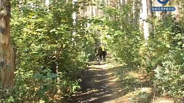 Кузнечане очистили туристический маршрут от мусора смотреть онлайн