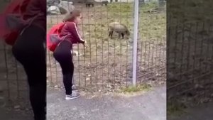 Вот твои родственники приехали