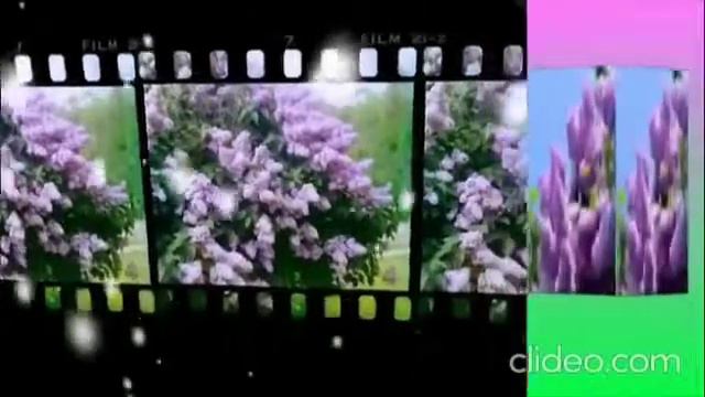 Мамина Сирень смотреть онлайн