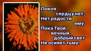 Гимны надежды 211 Когда Тобой пленён