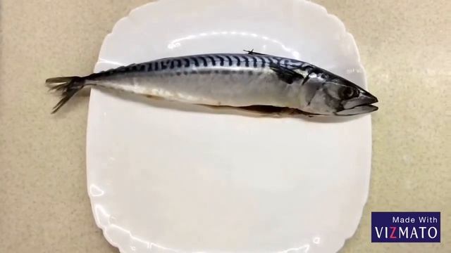Суп рыбный из скумбрии свежемороженой! | Fish soup with mackerel(with English Subtitles) смотреть онлайн