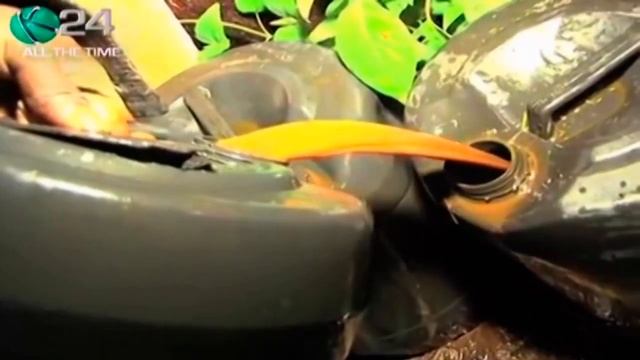 ЧАНГАА - убийственной пойло африканских трущоб. смотреть онлайн