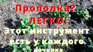 Прополка? ЛЕГКО! Этот инструмент есть у каждого дачника. Как удалить одуванчик из центра кустика