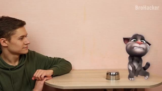 Talking Tom in Real Life [Part 1] - Magic смотреть онлайн