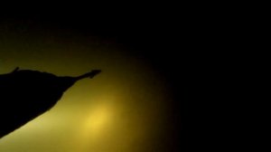 Подводная охота в конце октября на Оке