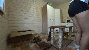 Сама собираю игровой комплекс для кошек
