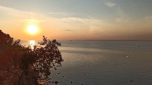 Берег Финского залива. Посёлок Лебяжье Ленинградская область