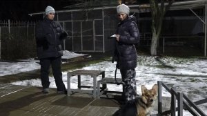 Вопрос ответ Надо ли состригать на лапах шерсть  Выпуск 17