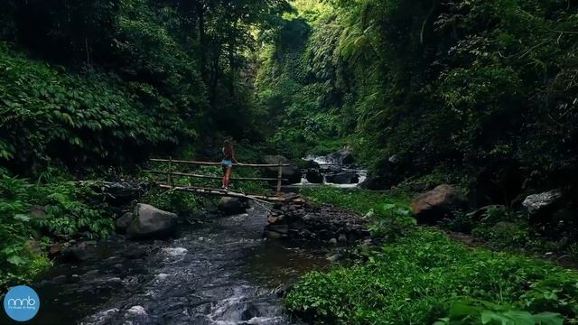 Природа острова Бали смотреть онлайн