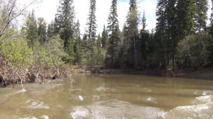 Таежная Река Порог Лодка ПВХ Мотор Водомет 25 л.с. Тайга Рыбалка Охота 2024 Природа Руд