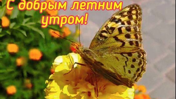 Отдыхаем!💖☝️