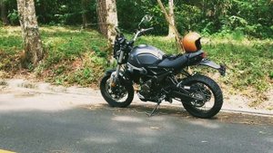 voge 300 ACX TROFEO