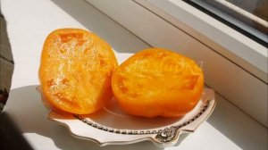 Томаты - тяжеловесы. Самые крупноплодные сорта 2020 г!