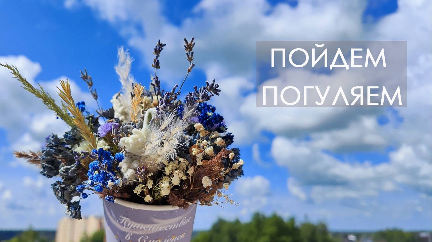 Пойдем погуляем!