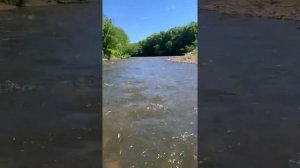 Сахалин р. Агнево часть 2