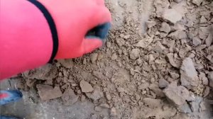 Коп в Астраханских степях 20 мая 2020г