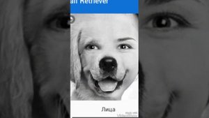 УЖАС!!!!! Люди превращаются в животных?!