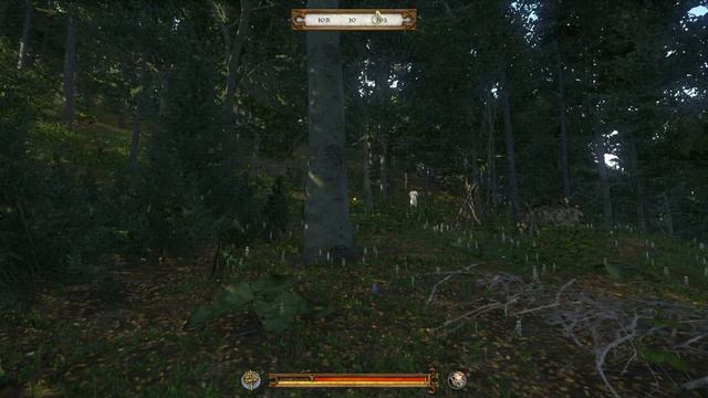 Kingdom Come Deliverance Cherchez la Femme Ищите Женщину смотреть онлайн