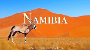 Намибия В 4К Релакс Фильм С Африканской музыкой
Namibia 4K Relaxation Film With African Music