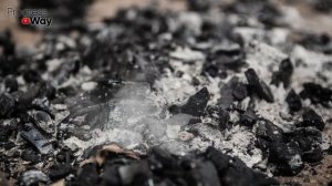 МАЛИНА ПОСЛЕ СБОРА УРОЖАЯ: сделайте это обязательно!